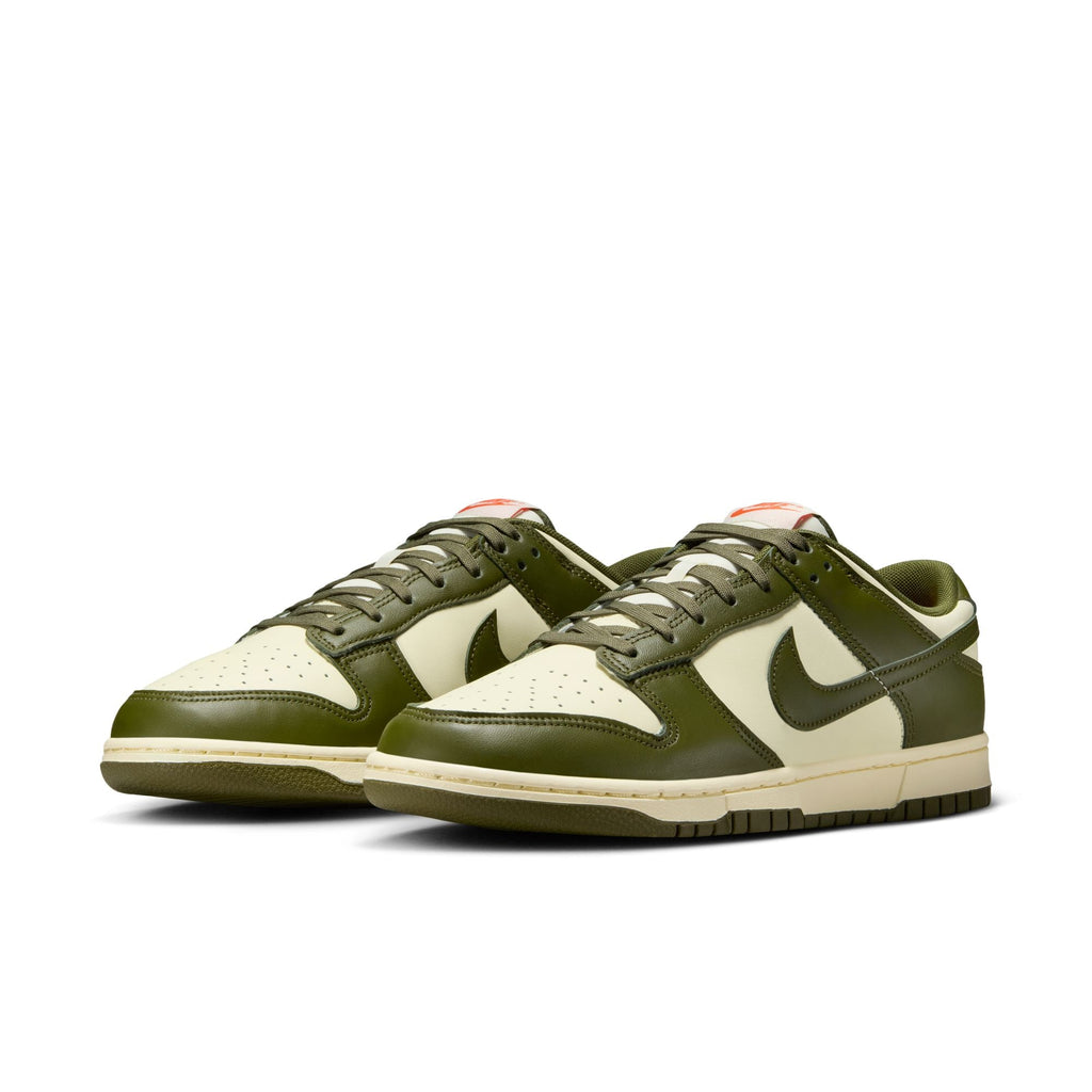 Nike Dunk Low Retro - IH0245-113
