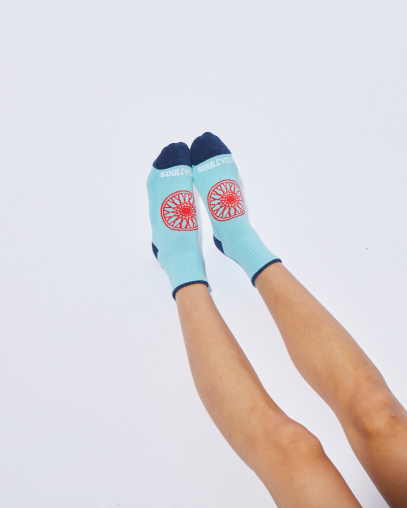 Collectable Sock - AAPIHM