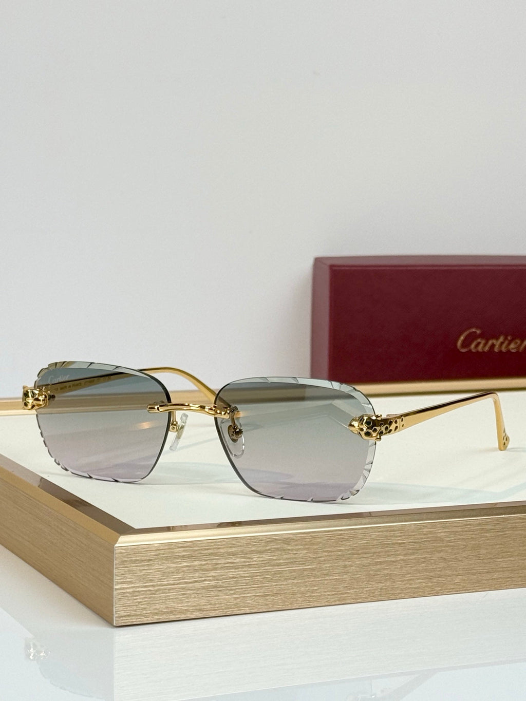 Cartier CT7450S Sunglasses